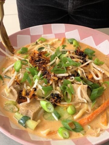 Spoon dipping into noodle soup bowl.