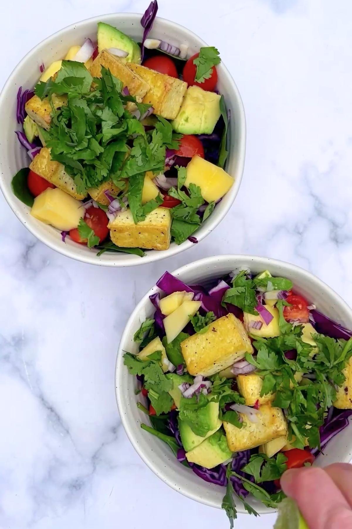 Two bowls filled with vibrant salad, topped with golden tofu, diced mango, avocado, cherry tomatoes, red cabbage and fresh herbs.