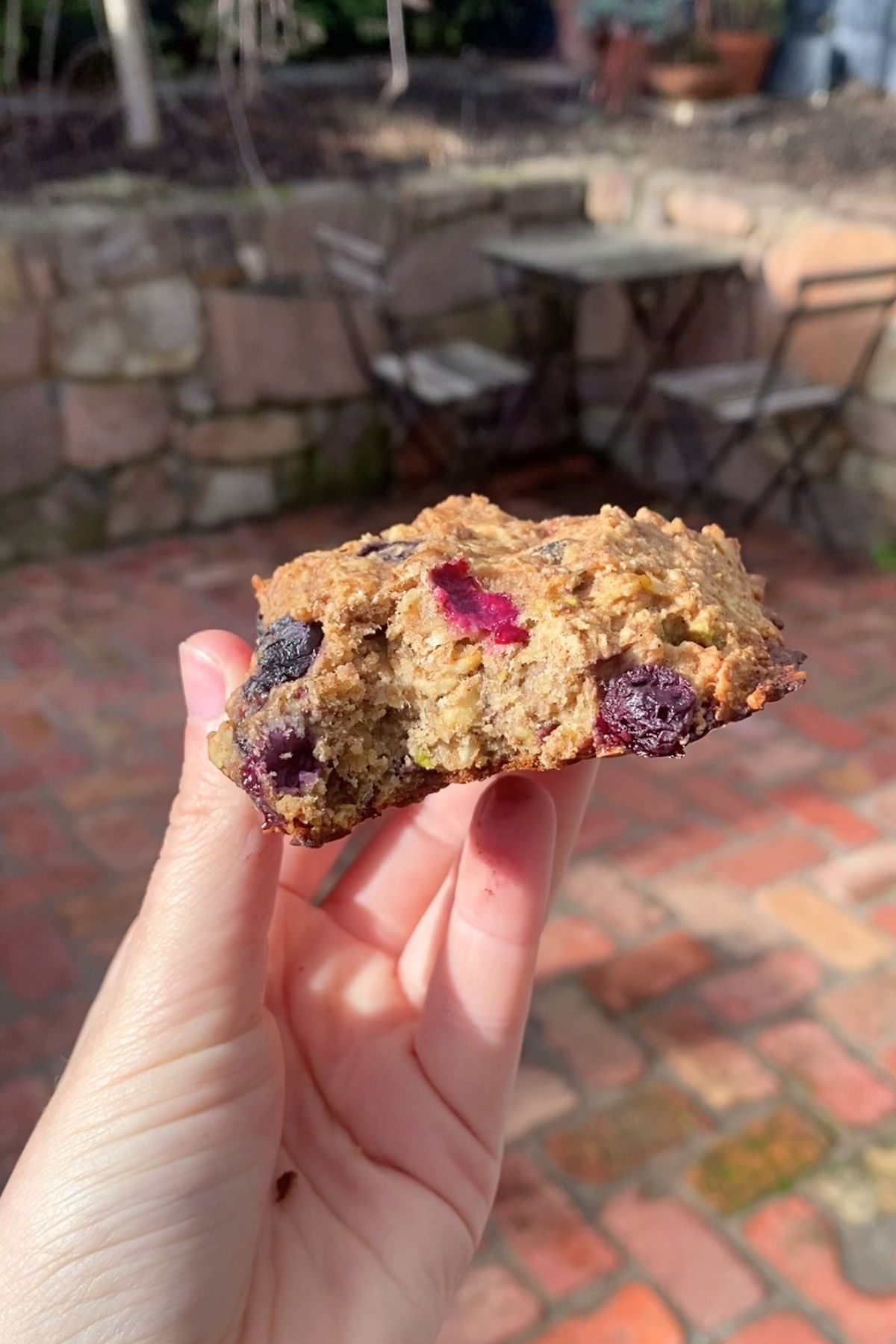 A close-up of an oat cookieโs dense interior dotted with oats and dark berries.