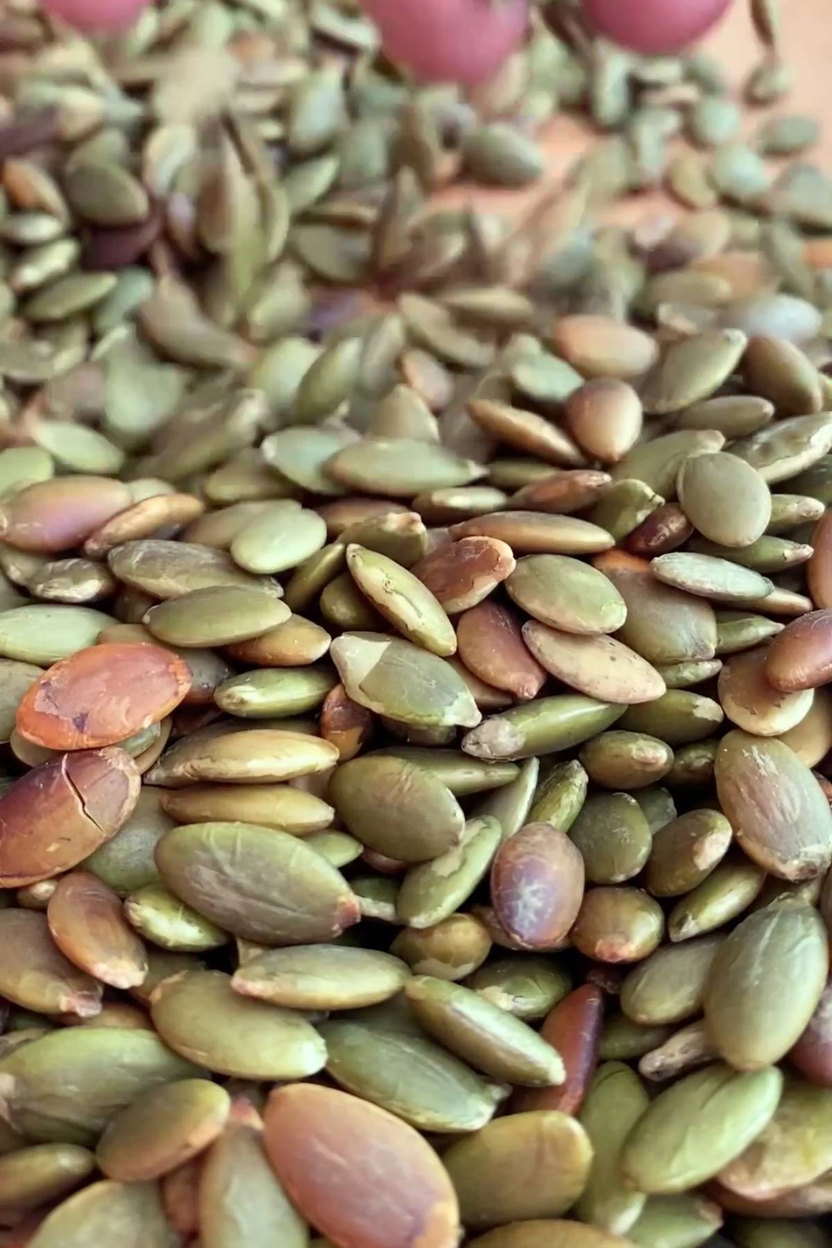 Close-up of toasted pumpkin seeds with mixed green and brown hues.