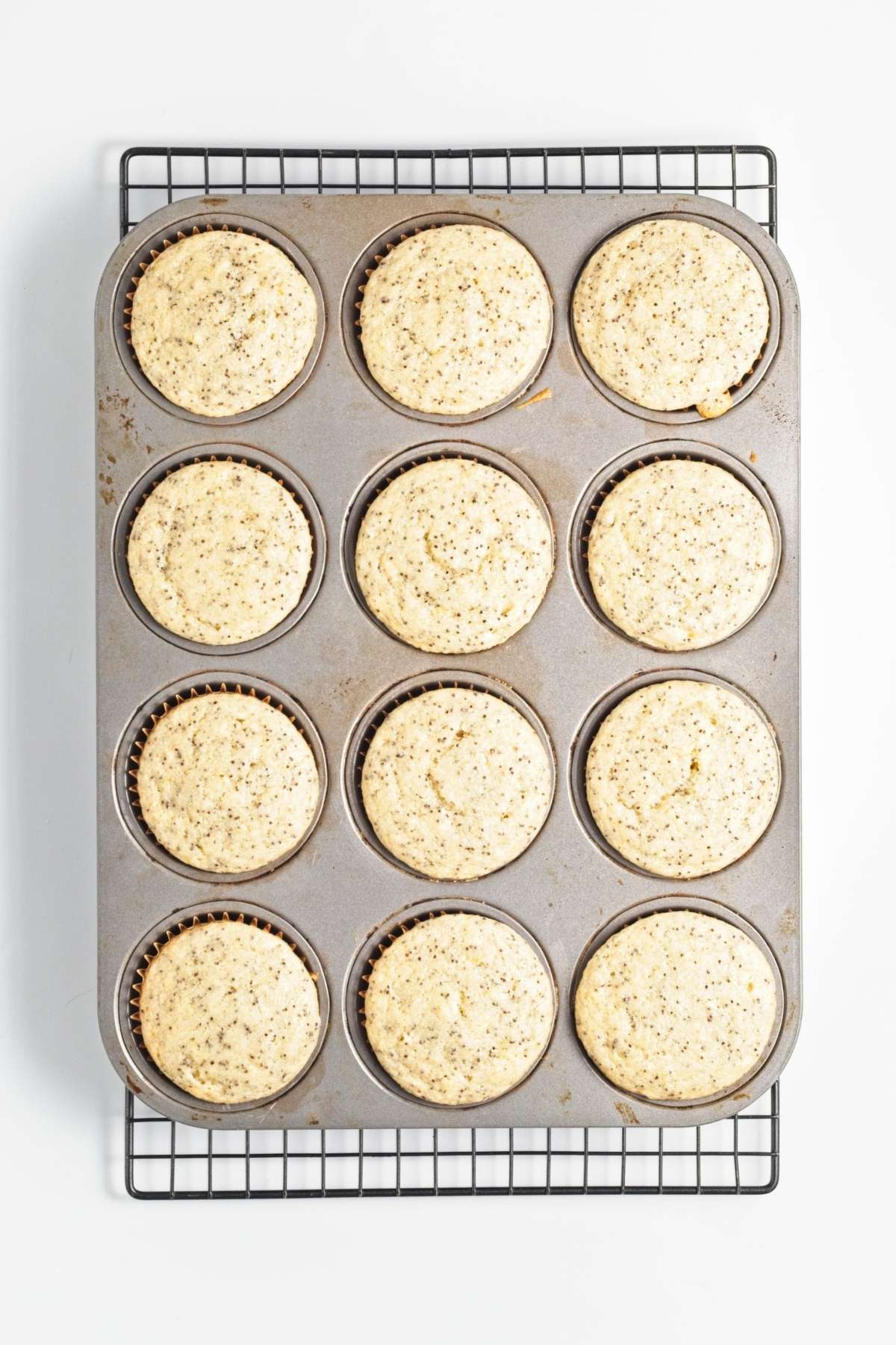 Baked muffins in tin, cooling on a wire rack.