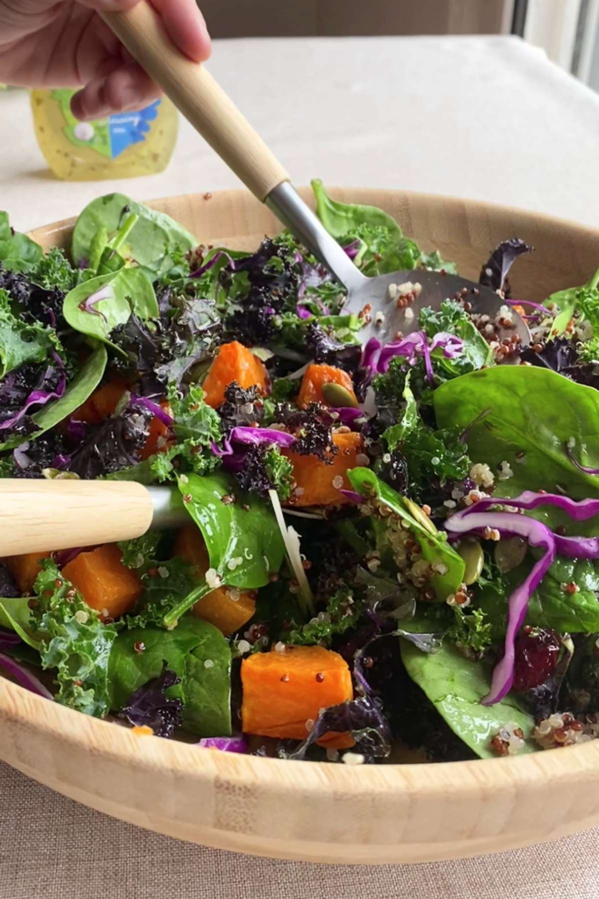 Close-up of salad scoop with kale, quinoa, sweet potato, and cranberries.