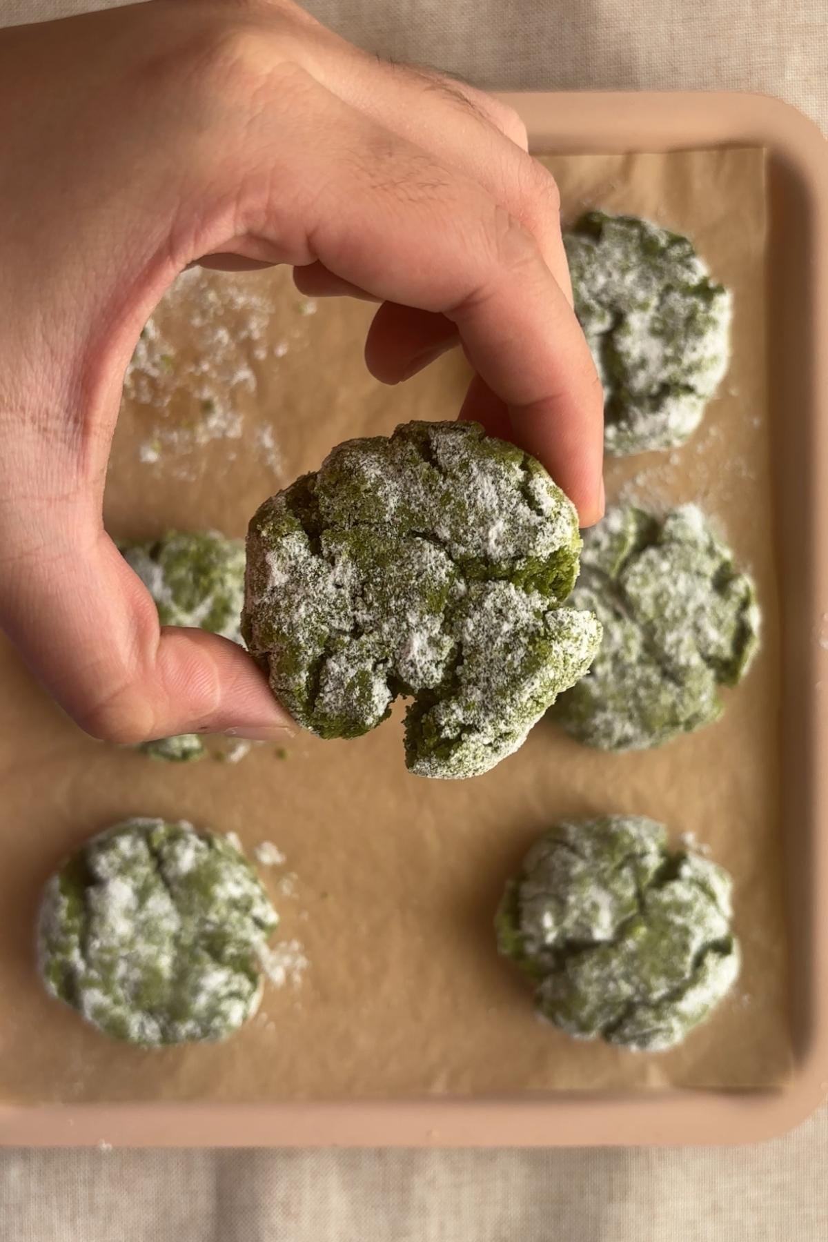 Hand holding a baked matcha crinkle cookies with cracked tops cooling on a tray.