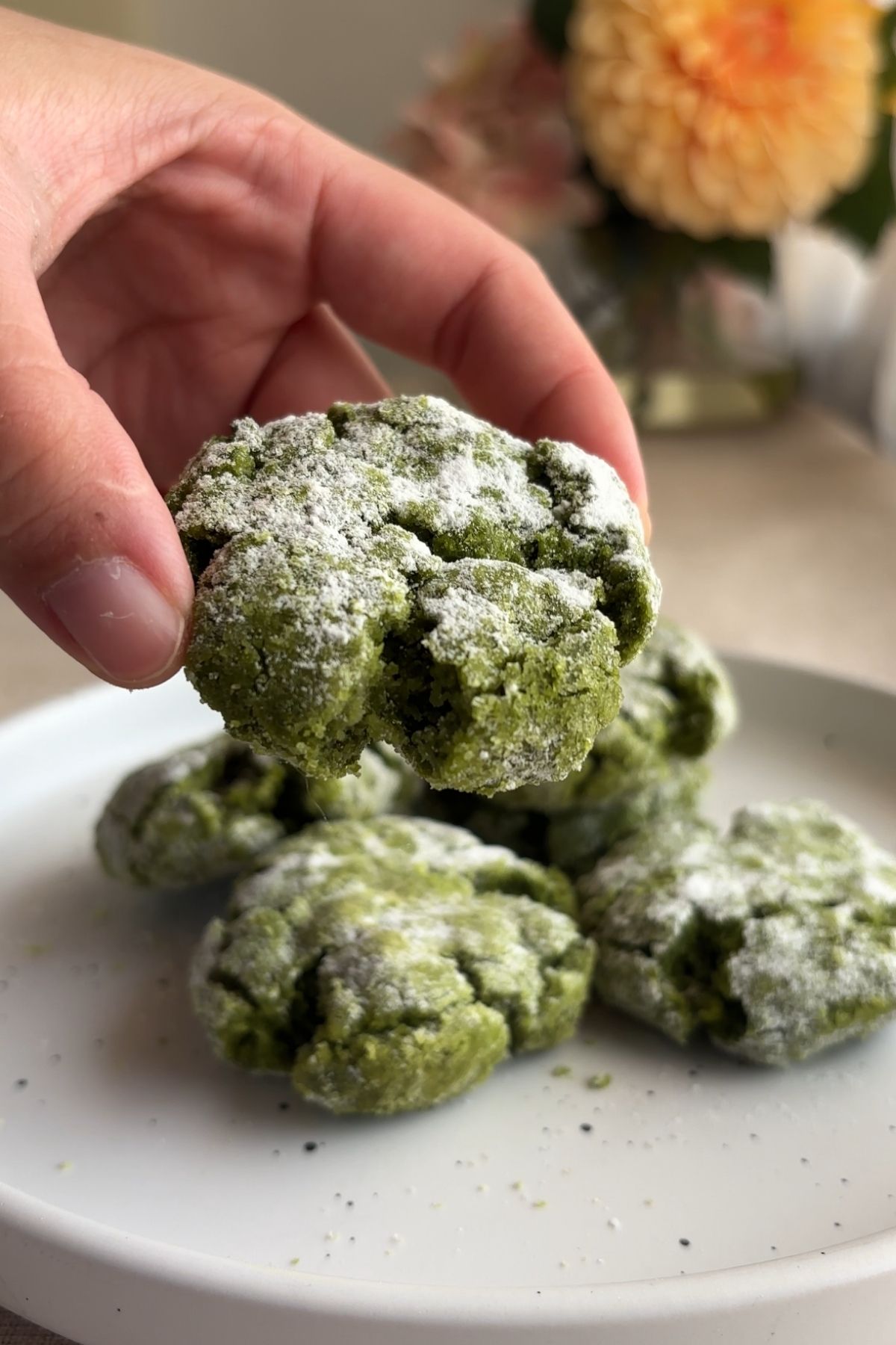 Hand holding a cracked matcha crinkle cookie dusted generously with powdered sugar.