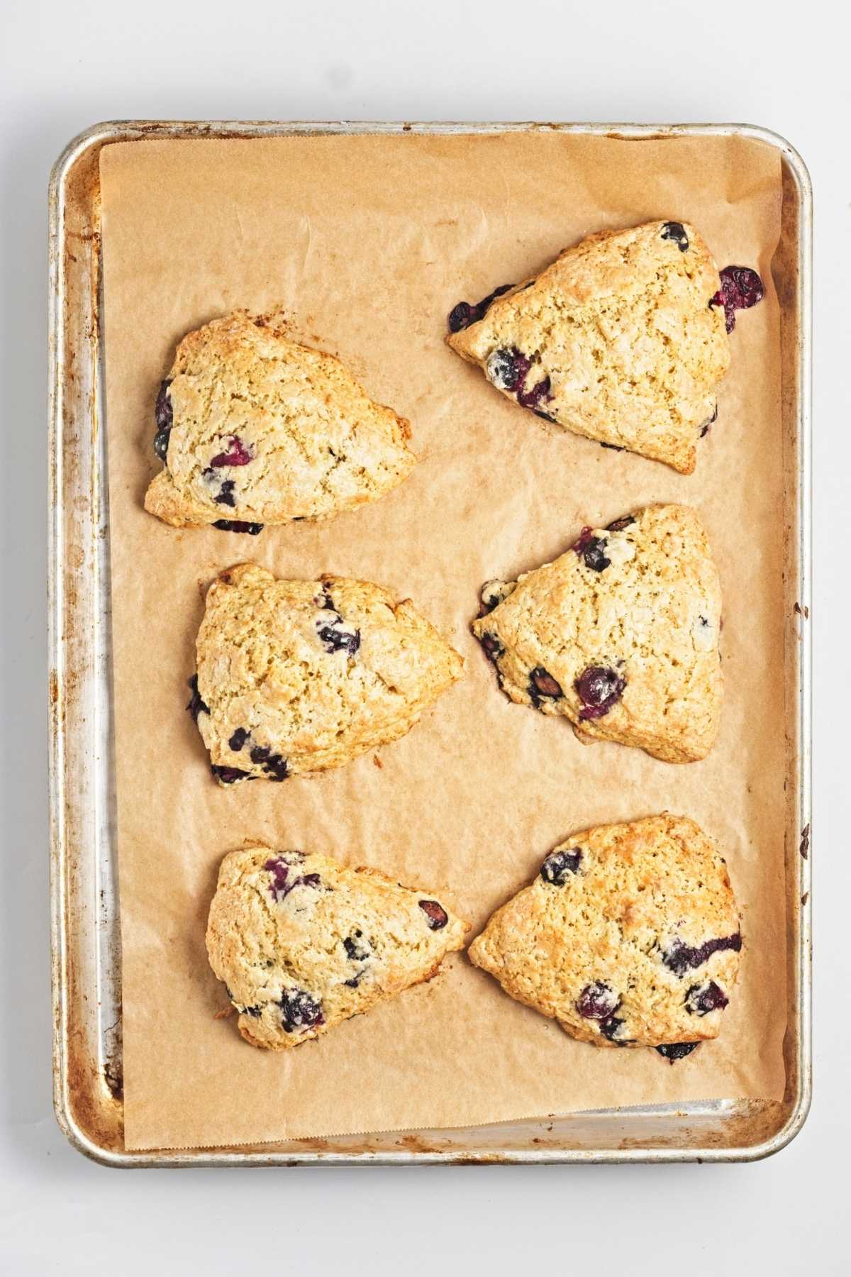 Baked blueberry scones on a parchment-lined baking sheet.