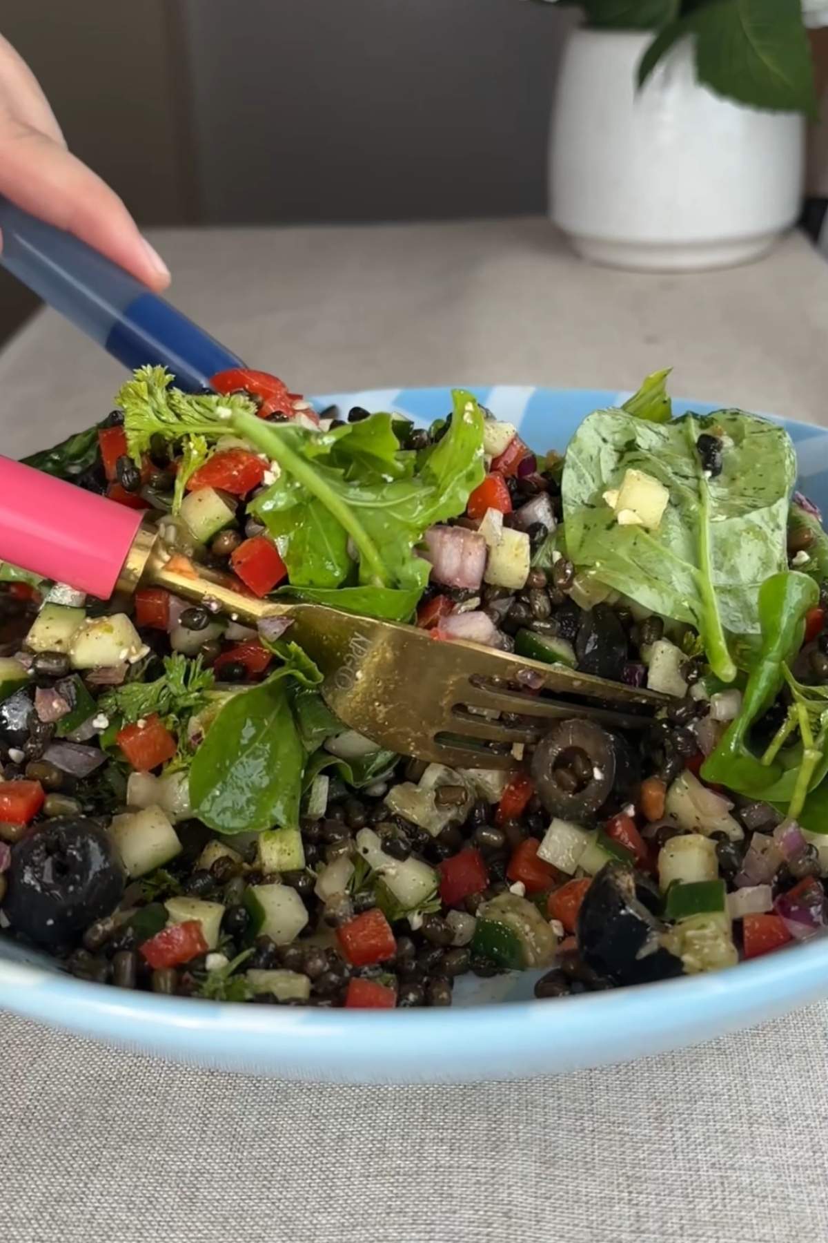 Spoonful of black lentil salad with cucumber, red pepper, olives, and feta.