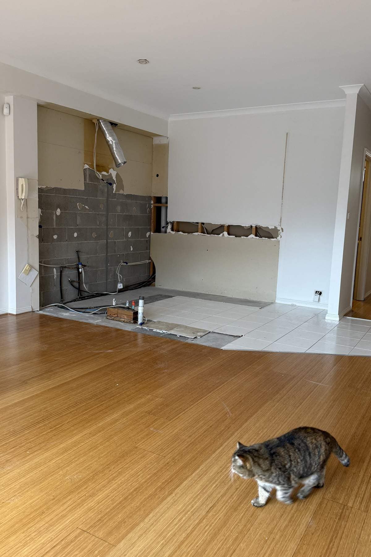 Empty room stripped back to the concrete block wall, with a cat walking across timber floorboards.