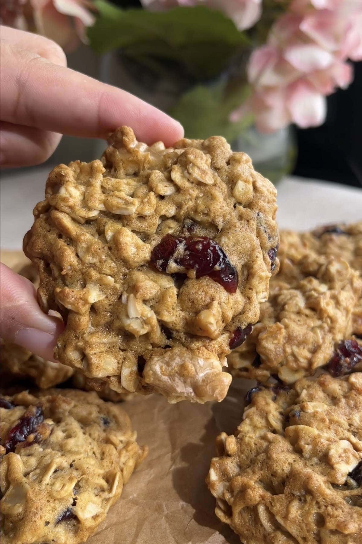 Hand holding a whole oatmeal cookie studded with dried cranberries.