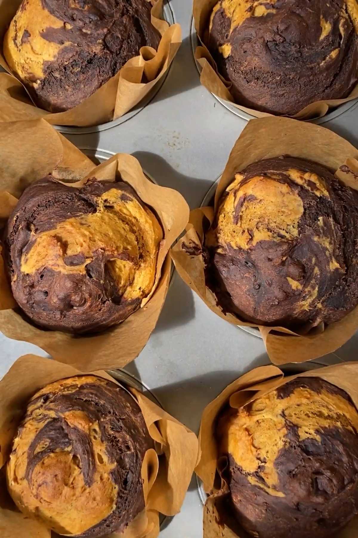 Freshly baked pumpkin chocolate swirl muffins cooling in a muffin pan.