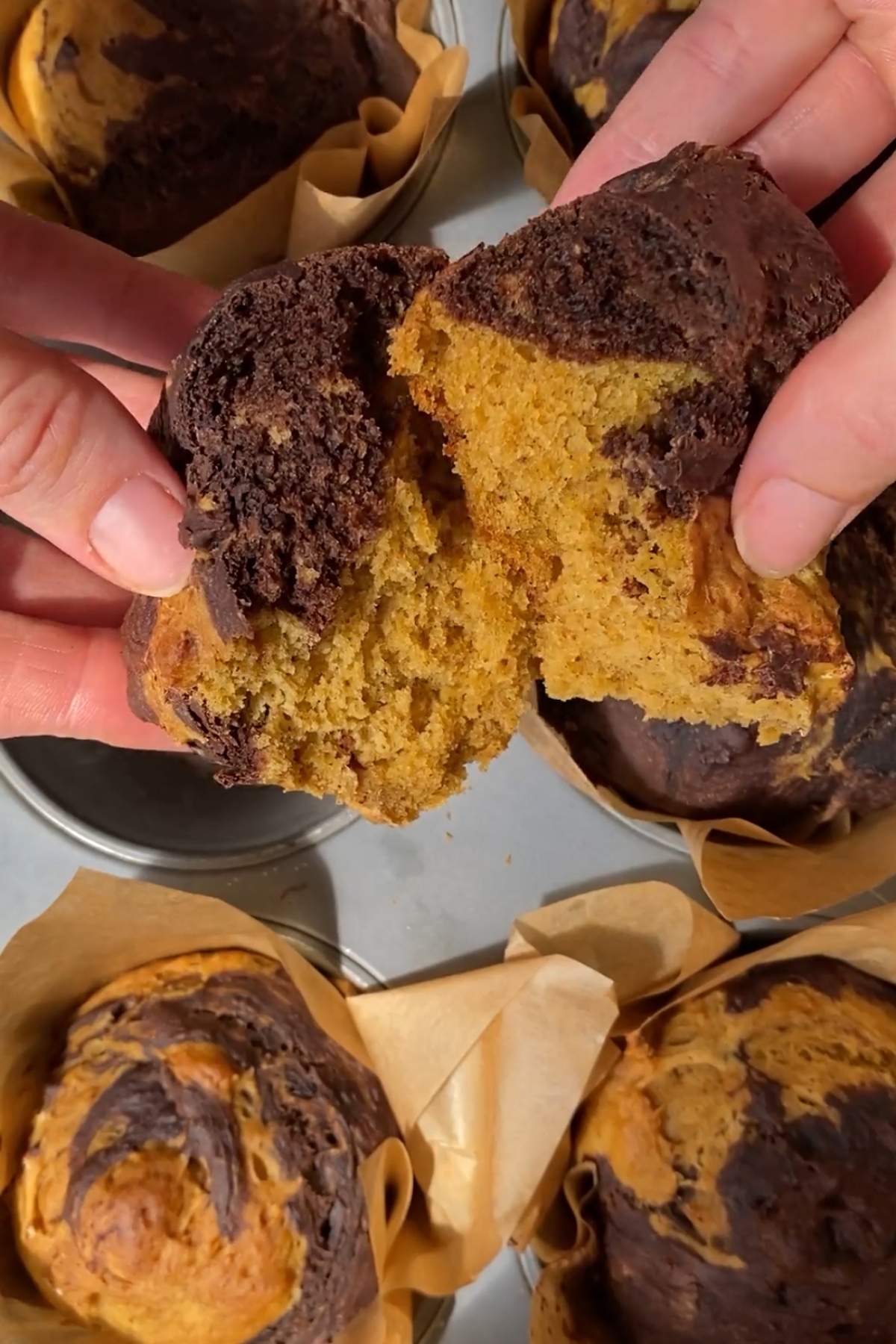 Hands pulling apart a pumpkin chocolate swirl muffin with a soft, fluffy center.