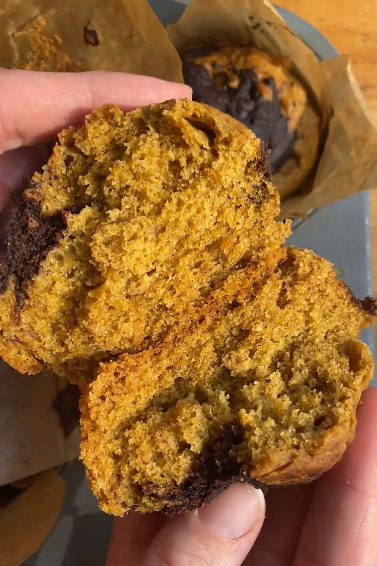 Pumpkin chocolate swirl muffin split open to show the soft, fluffy crumb.