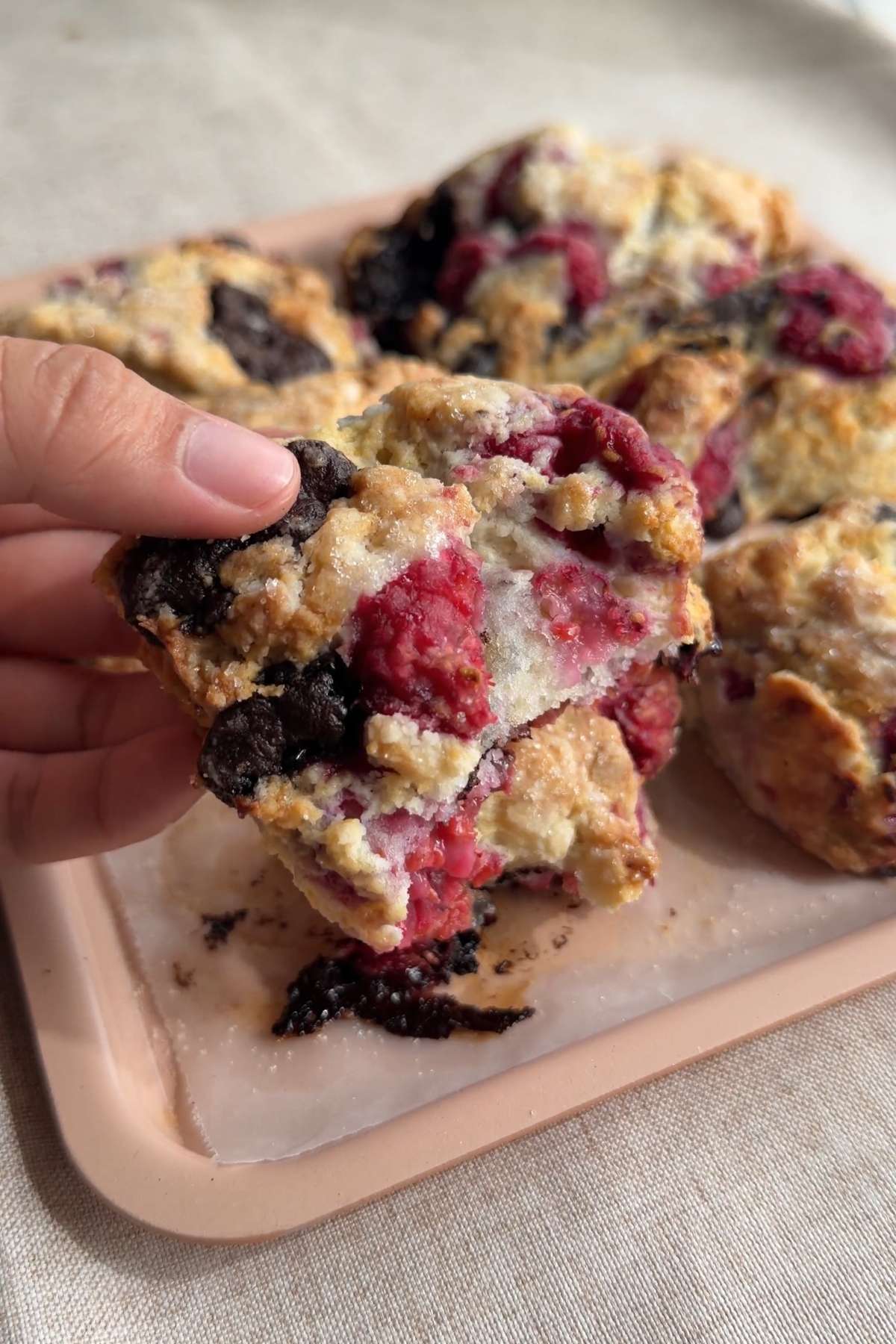 Hand holding a raspberry chocolate scone with raspberries and dark chocolate.